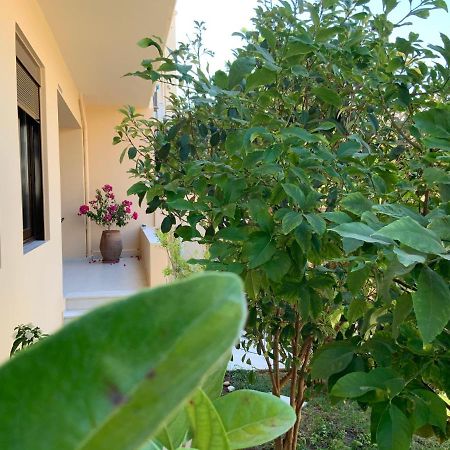 Antonis Chania City Family House Bagian luar foto